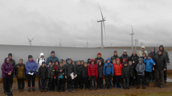Cubs at Whitelee Wind Farm